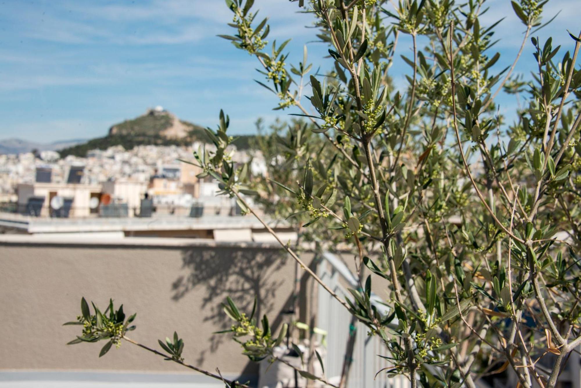 The Athenian Oasis Lejlighed Eksteriør billede